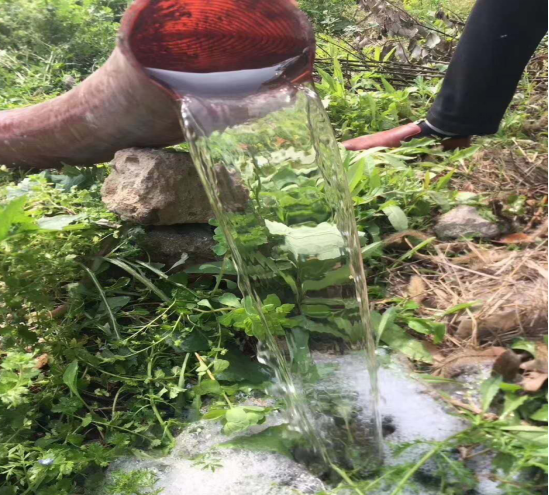 3308白綠吸污淨化車藍牌